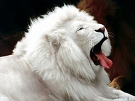 test-test-test111